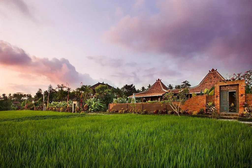 Naya Ubud-1